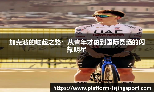 乐竞体育官方网站
